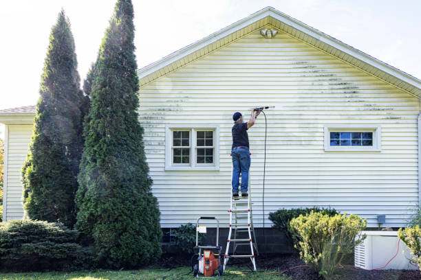 Best Residential Pressure Washing Services  in Taylorsville, NC
