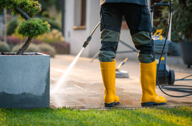 Best Affordable Power Washing  in Taylorsville, NC
